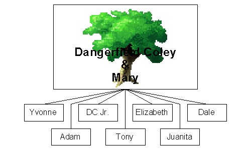 DC's Branch